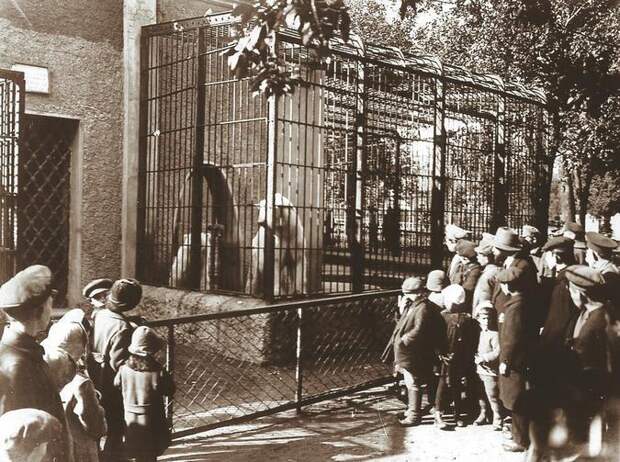 Медвежатник, 1912 год. Фото: архив Московского зоопарка