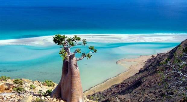 Остров Сокотра в Индийском океана, Йемен загадка, загадочные места, интересно, интересные места, мир, остров, природа