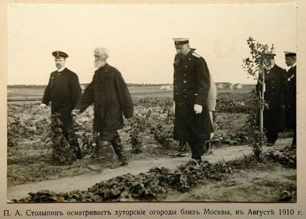 Миф о реформаторе. Как Пётр Столыпин провалил аграрную реформу Столыпин Петр Аркадьевич, аграрная реформа, страницы истории
