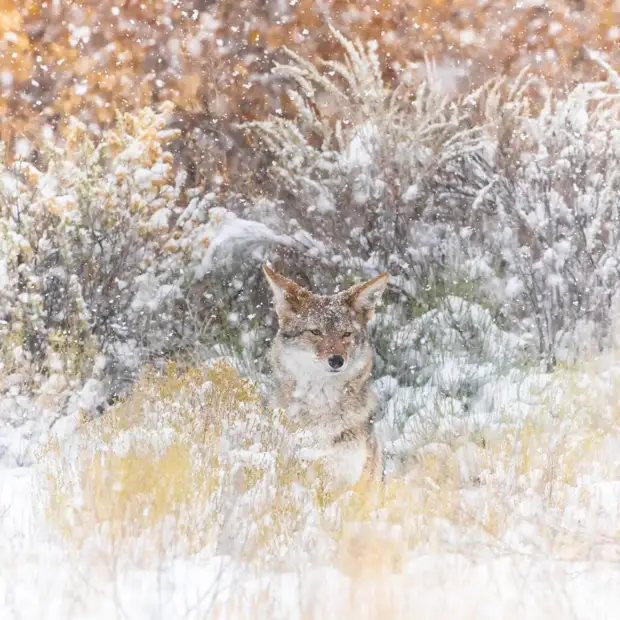 Мир глазами победителей фотоконкурса