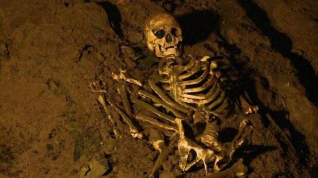 Копия сохранившегося до наших дней скелета человека из Чеддара.