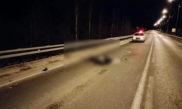 В Шенкурском округе погиб пешеход