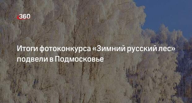 Итоги фотоконкурса «Зимний русский лес» подвели в Подмосковье