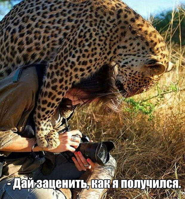 Позитивные и веселые картинки с надписью со смыслом (12 фото)