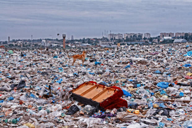 Количество мусора в России выросло на 20%