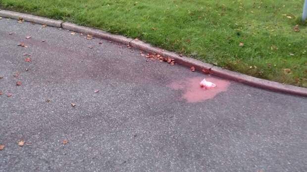 Посольство РФ в Швеции подверглось нападению с использованием дрона с краской