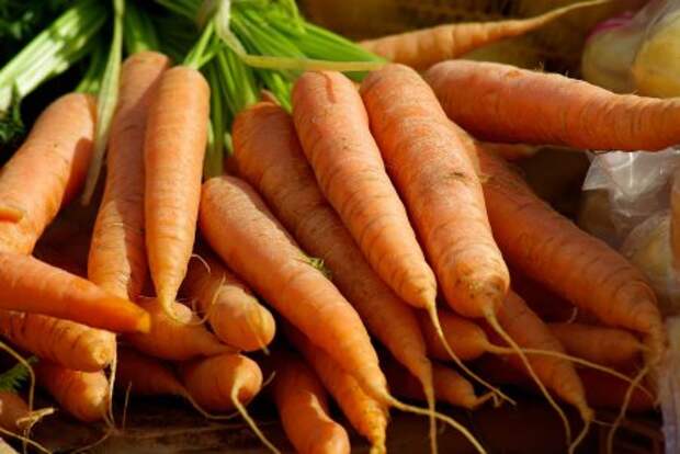 Современная морковь гмо, овощи, факты, фрукты