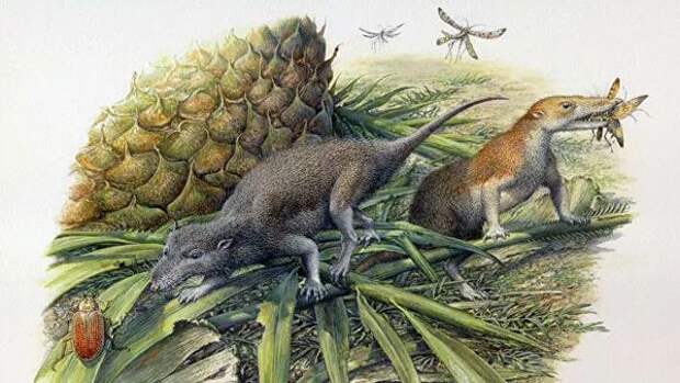 Ученые определили, жили ли наши предки вместе с динозаврами