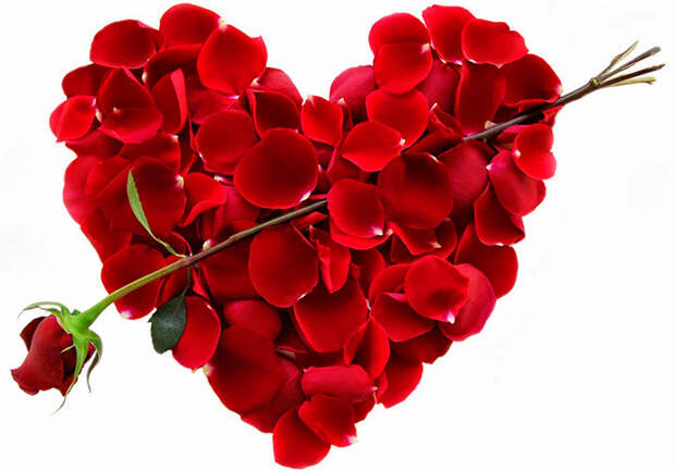 Цветы на 14 февраля – День Святого Валентина (День всех влюбленных)