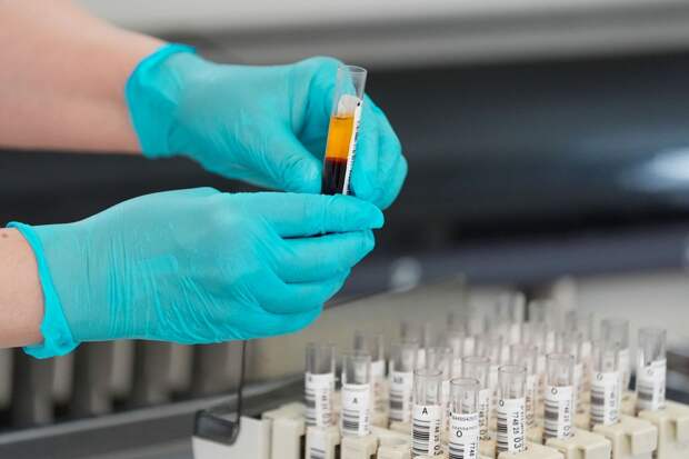 Путин запретил передачу генетических данных россиян за рубеж