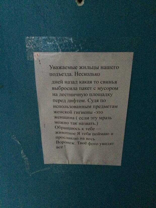 Вам нужен продюсер? Приезжайте в этот славный город! Вам нужен продюсер? Приезжайте в этот славный город! воронеж, города, прикол, юмор