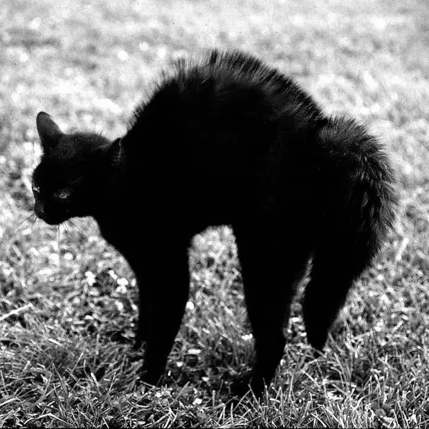 ������ ������� � �������, ������� 70 ��� �������������� �����   7 2