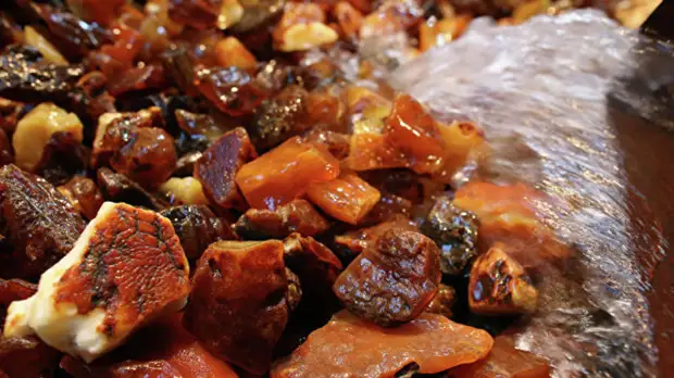 В Калининградской области пресекли незаконную добычу янтаря-сырца