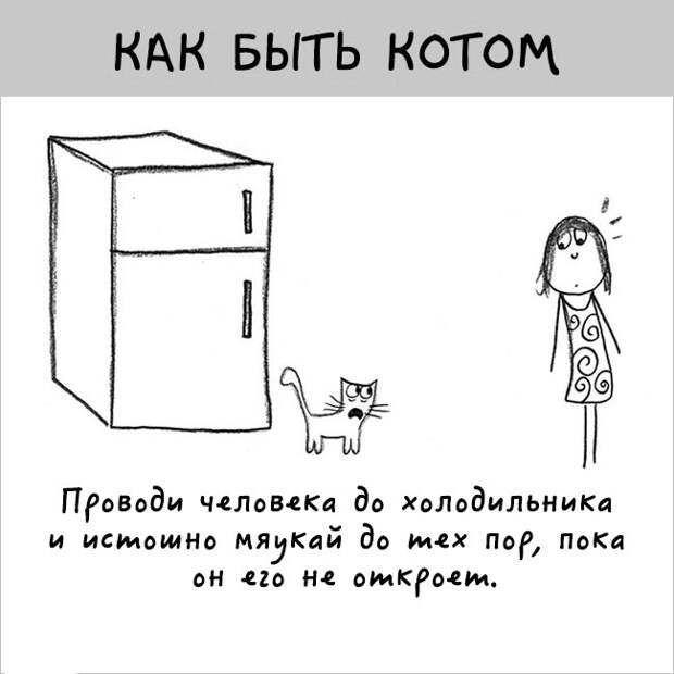 как правильно быть котом