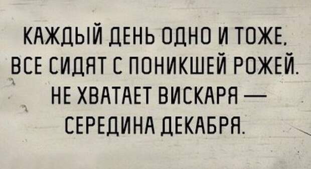 То ли смех, то ли слёзы - 211 (Смех в картинках... 22.12.2017)