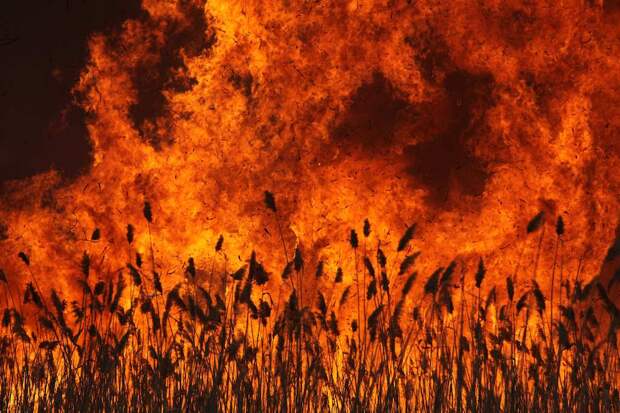 Враг атаковал Волгоградскую область (ФОТО, ВИДЕО)