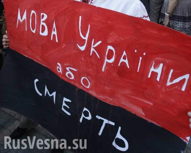 В Киеве хотят запретить русский язык | Русская весна