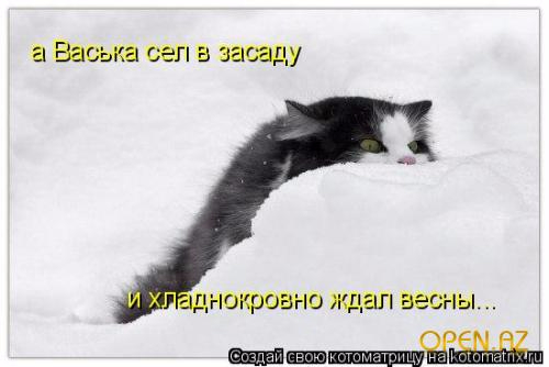 1269118965_km_13_4 (500x334, 92Kb)