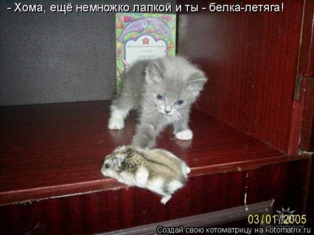 Мысли вслух :)