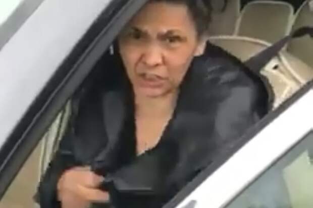 Женщина на иномарке предложила силачу "убираться в свой кишлак". Фото: кадр из видео. 