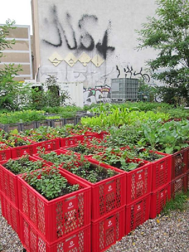 Пластиковые корзины возможно использовать для поднятого огорода над уровнем земли что создаст интересные варианты оформления сада и огорода.