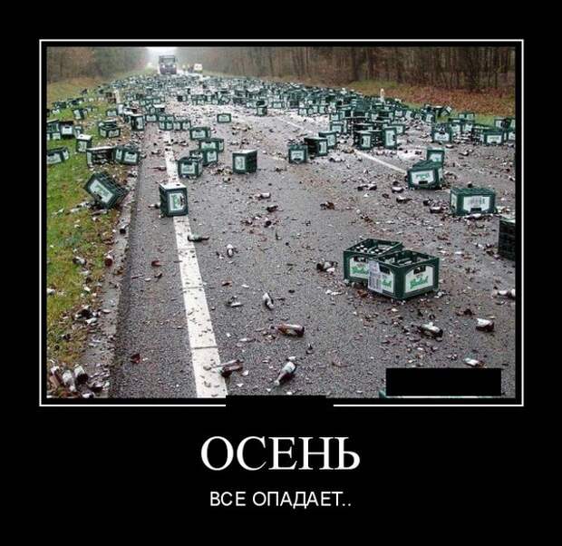 Демотиваторы (20 фото)