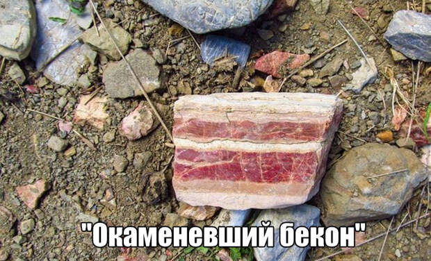 Прикольные картинки. Дневной выпуск (53 фото)