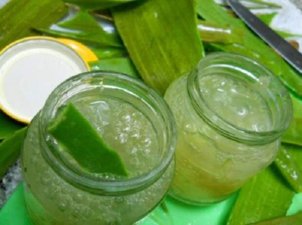 aloe
