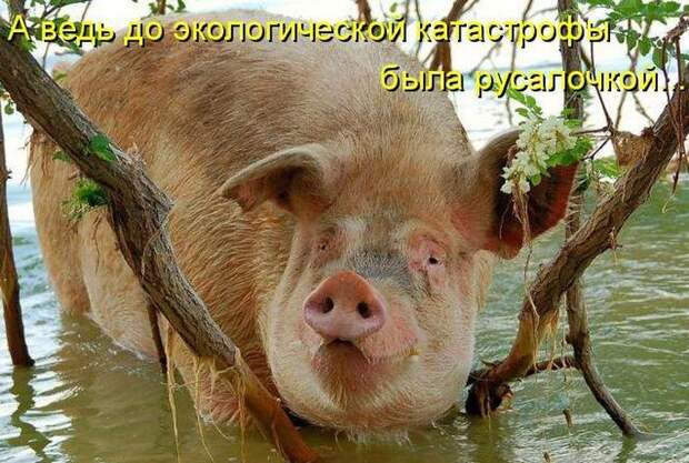 Мысли вслух :)