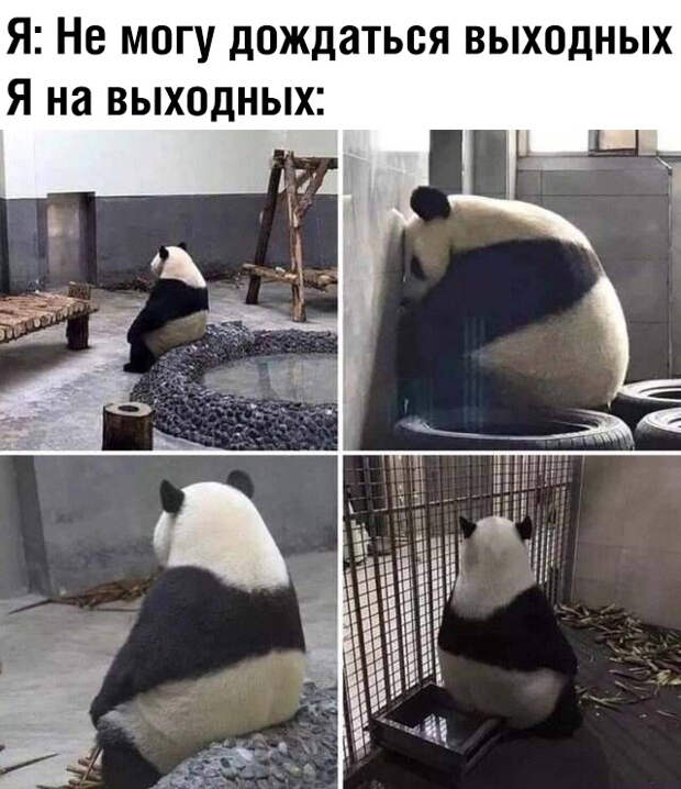 И так каждый раз