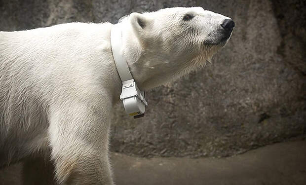 Фото: Геологическая служба США