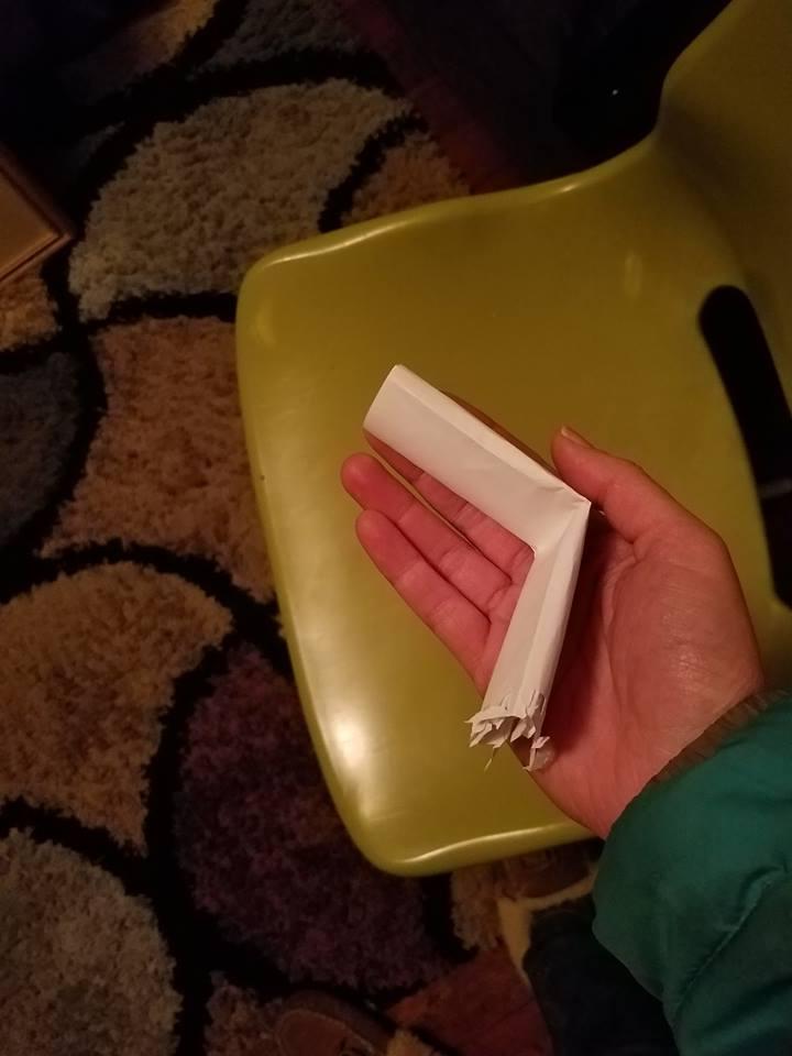 Женщина не знала, куда каждый день пропадает ее кот, пока однажды не заметила записку в его ошейнике