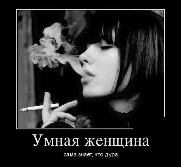 Демотиваторы Демотиваторы