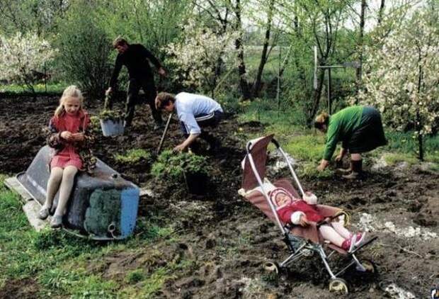 Семья на даче садит огород. Фото с сайта damex.ru
