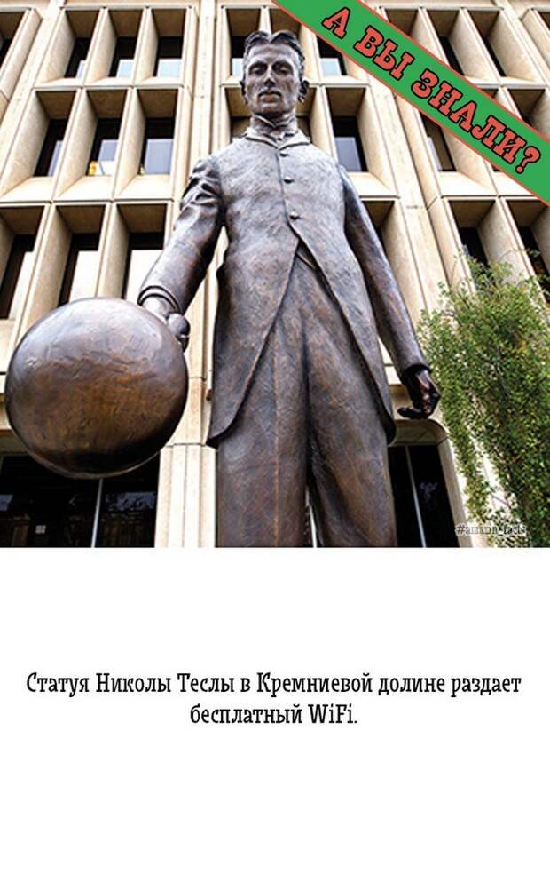 интересные факты