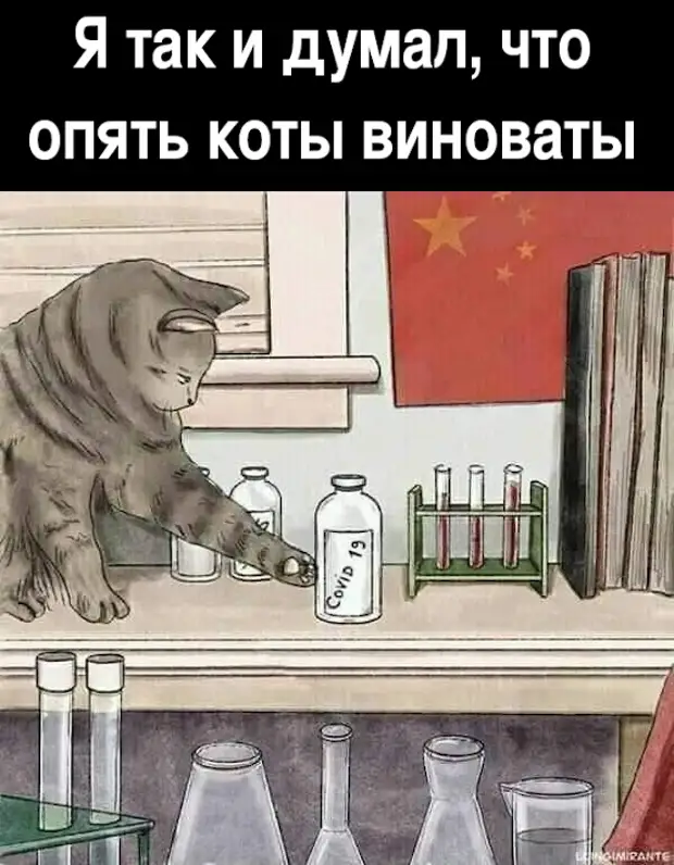 изображение: Я так и думал, что опять коты виноваты #Прикол