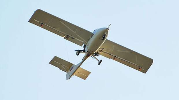 Пропавший самолет под Архангельском принадлежит авиалесоохране