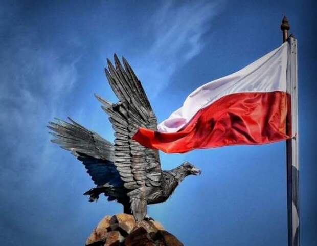 Польша и страны Балтии готовятся ввести войска на Украину — СМИ Франции (ФОТО) | Русская весна