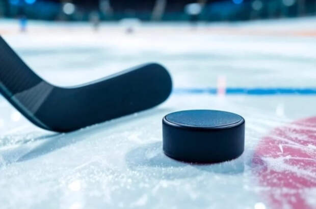 Игроки ECHL объявили забастовку из-за проблем с безопасностью