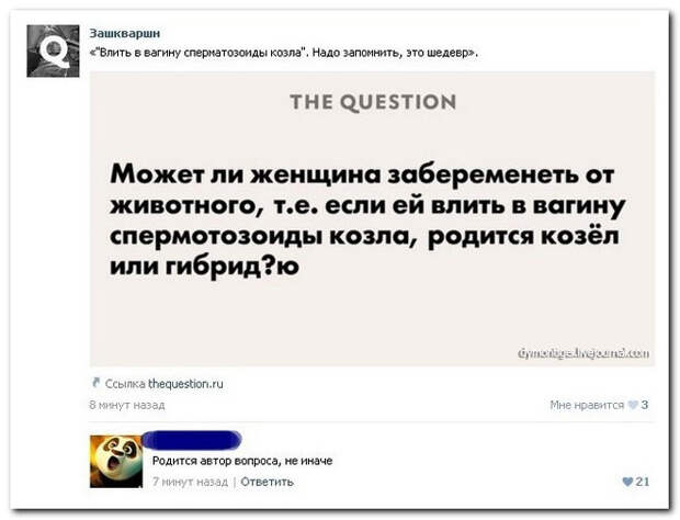 Смешные комменты из соцсетей и не только #36 прикол, смешные надписи и коменты, соцсети, умора, юмор