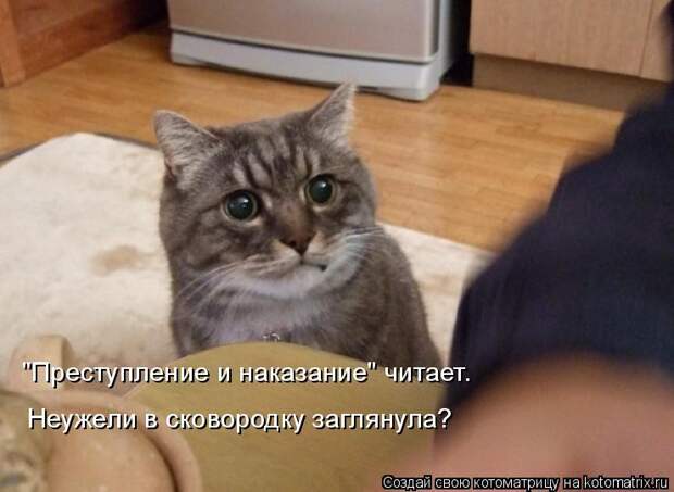 Котоматрица: "Преступление и наказание" читает.  Неужели в сковородку заглянула?