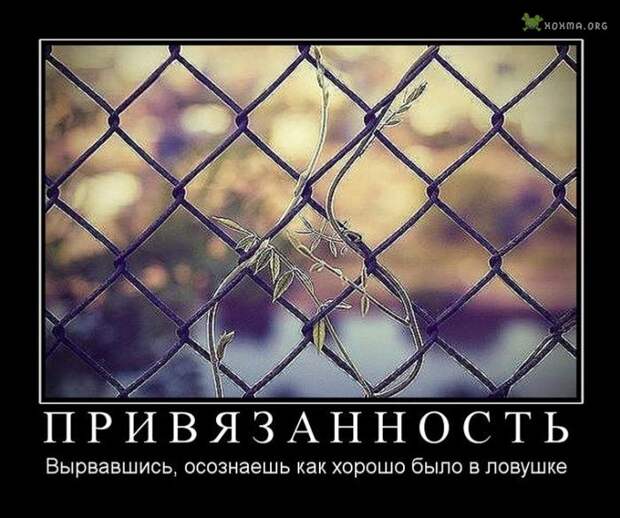 Смешные демотиваторы. Часть 684 (30 фото) Смешные демотиваторы. Часть 684 (30 фото)