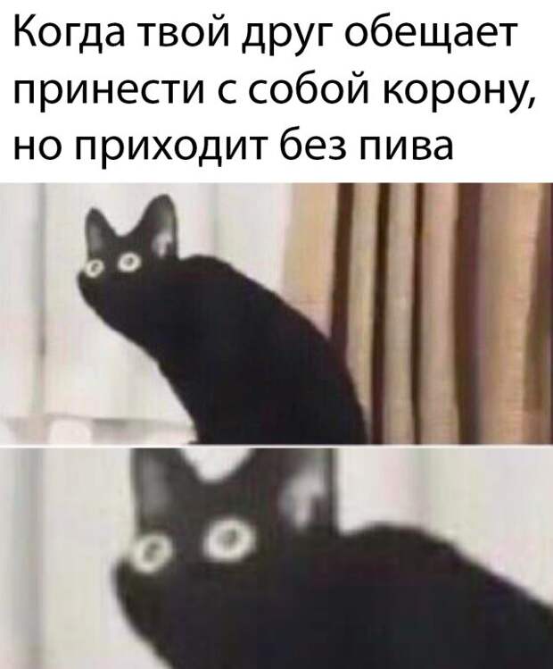 Смешные фото утро 24 марта 2020