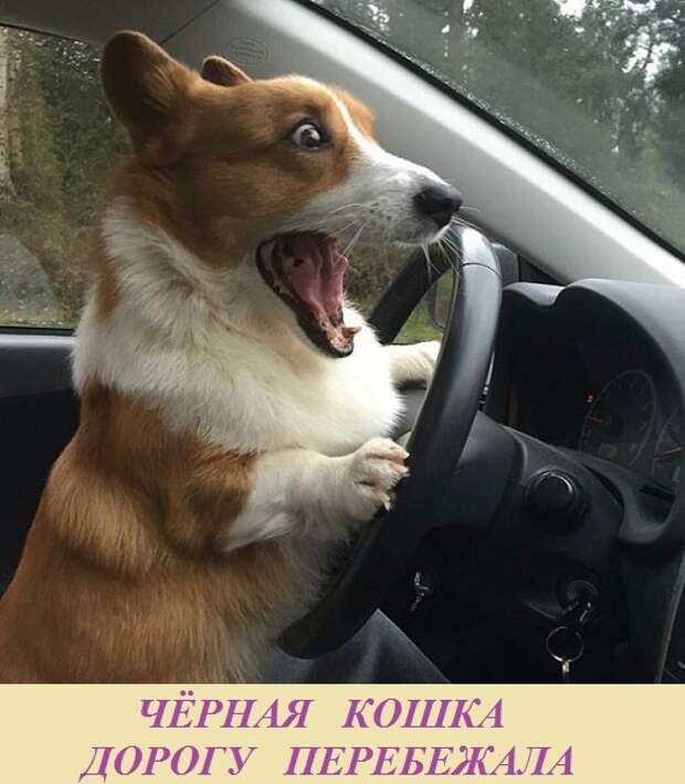 ВИннЕГРЕТ 58 ВИннЕГРЕТ 58