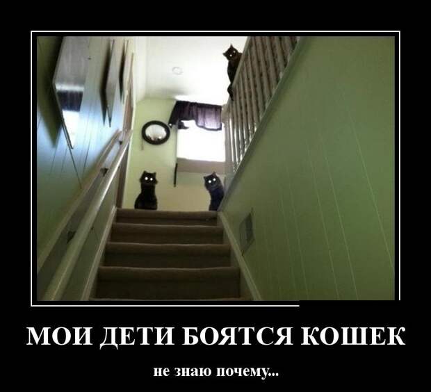 Демотиваторы (30 фото)