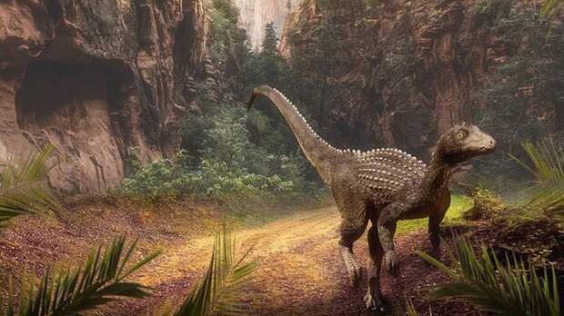 Ученые из Бразилии обнаружили ранее неизвестный вид беззубого динозавра