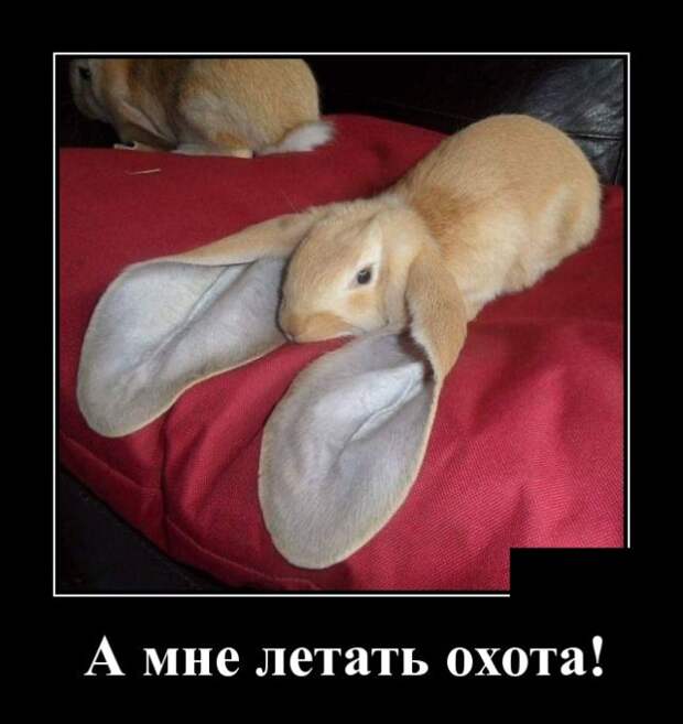 www.vsyako.net