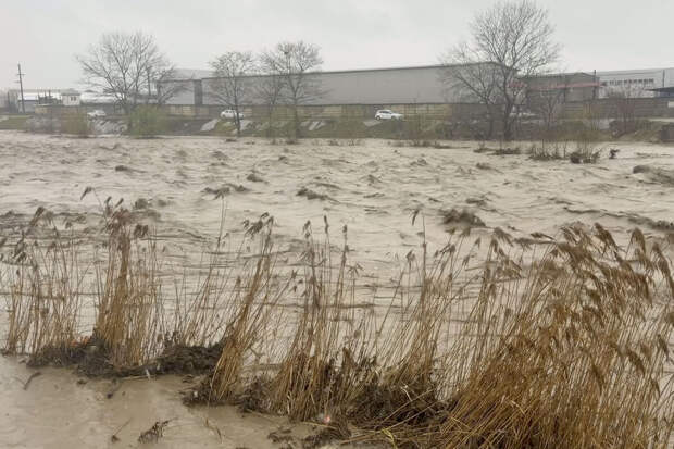 Синоптик Паршина: в России затопит огороды из-за выхода 19 рек из берегов