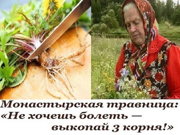 Картинки по запросу фото Зайцева Елена Федоровна — известная монастырская травница.