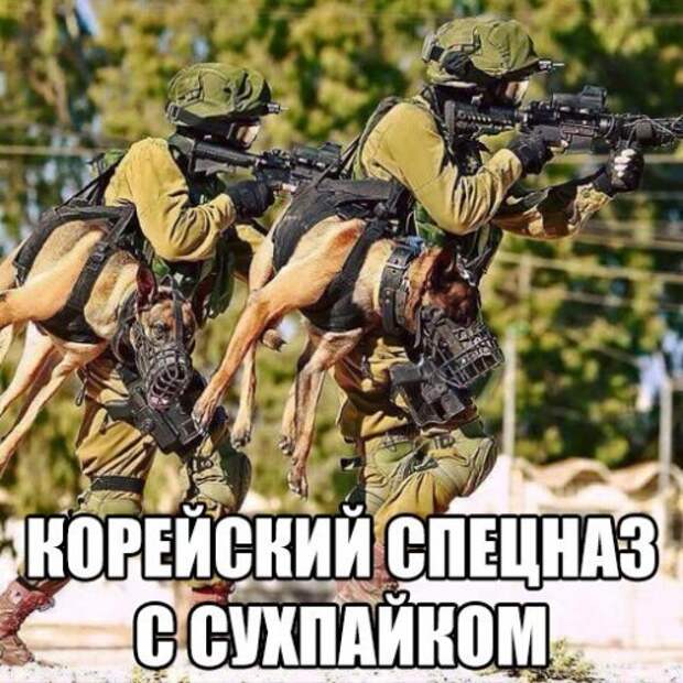 Прикольные фотомемы (25 шт)